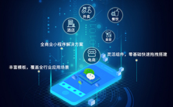 小程序開發(fā)多少錢一個(gè)，定制與模板的差價(jià)是多少