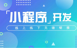 原生小程序開(kāi)發(fā)公司，優(yōu)點(diǎn)有哪些呢